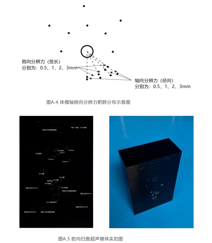 腔內掃查超聲模體9 腔內掃查超聲模體9
